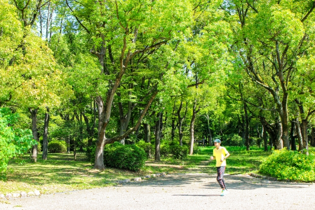 50d1105e148f2ca7d2d41506b6b57d67_s