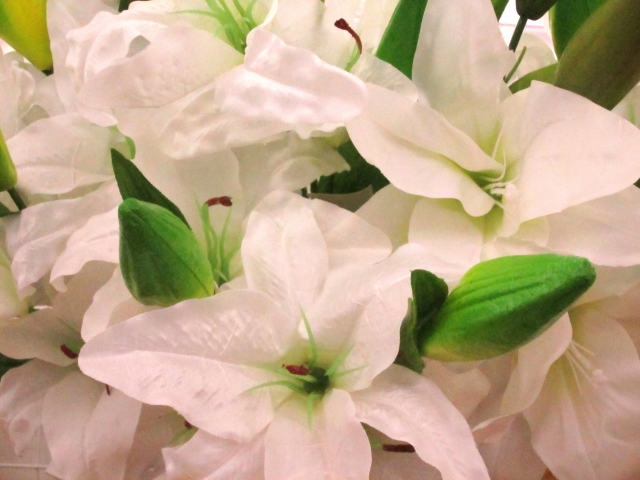 996df26a046bc039f97a64620394e8be_s